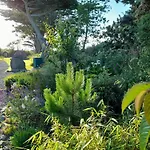 Cedarwood Holidays