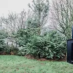 Lowen Tree House