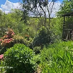 Treetops Lodge, Private Parking & Garden