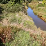 Carnon Gwel, Devoran