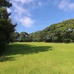 Beech