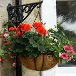 Cliftons Guest House