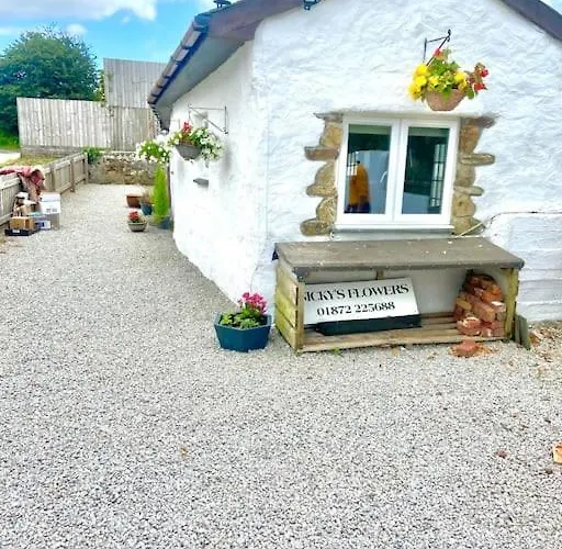 Romantic Log-Burner Cornish Cottage Private Garden Dogs Welcome