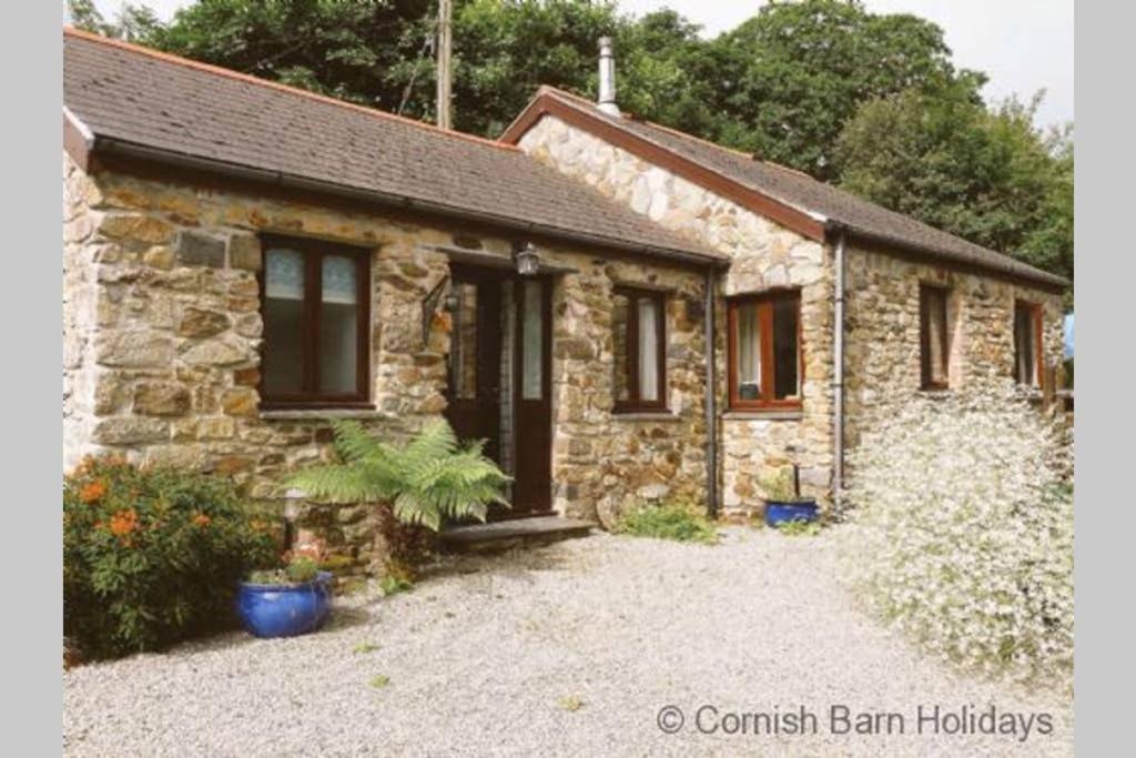 The Snug At Cornish Barn Holidays Holiday home