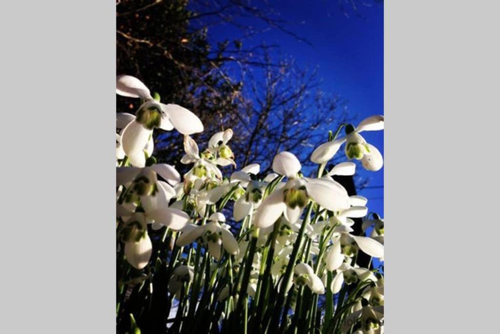 The Snug At Cornish Barn Holidays Holiday home *