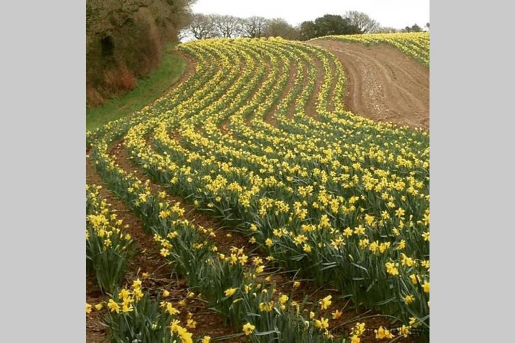 The Snug At Cornish Barn Holidays Holiday home *