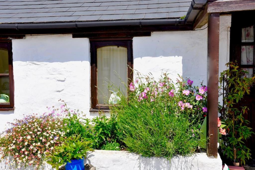 Stunning Annexe 1 Luxury Bedroom, Eating Area & Bathroom Only! * Truro