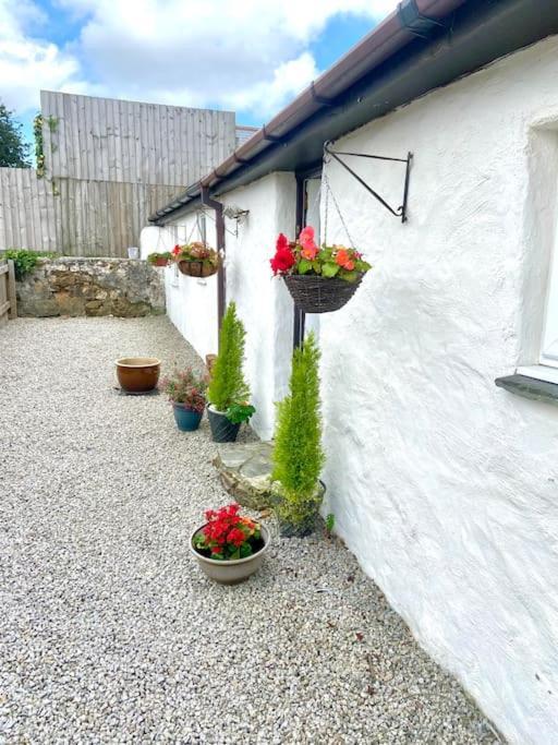 Romantic Log-burner Cornish Private Garden Dogs Welcome * Truro