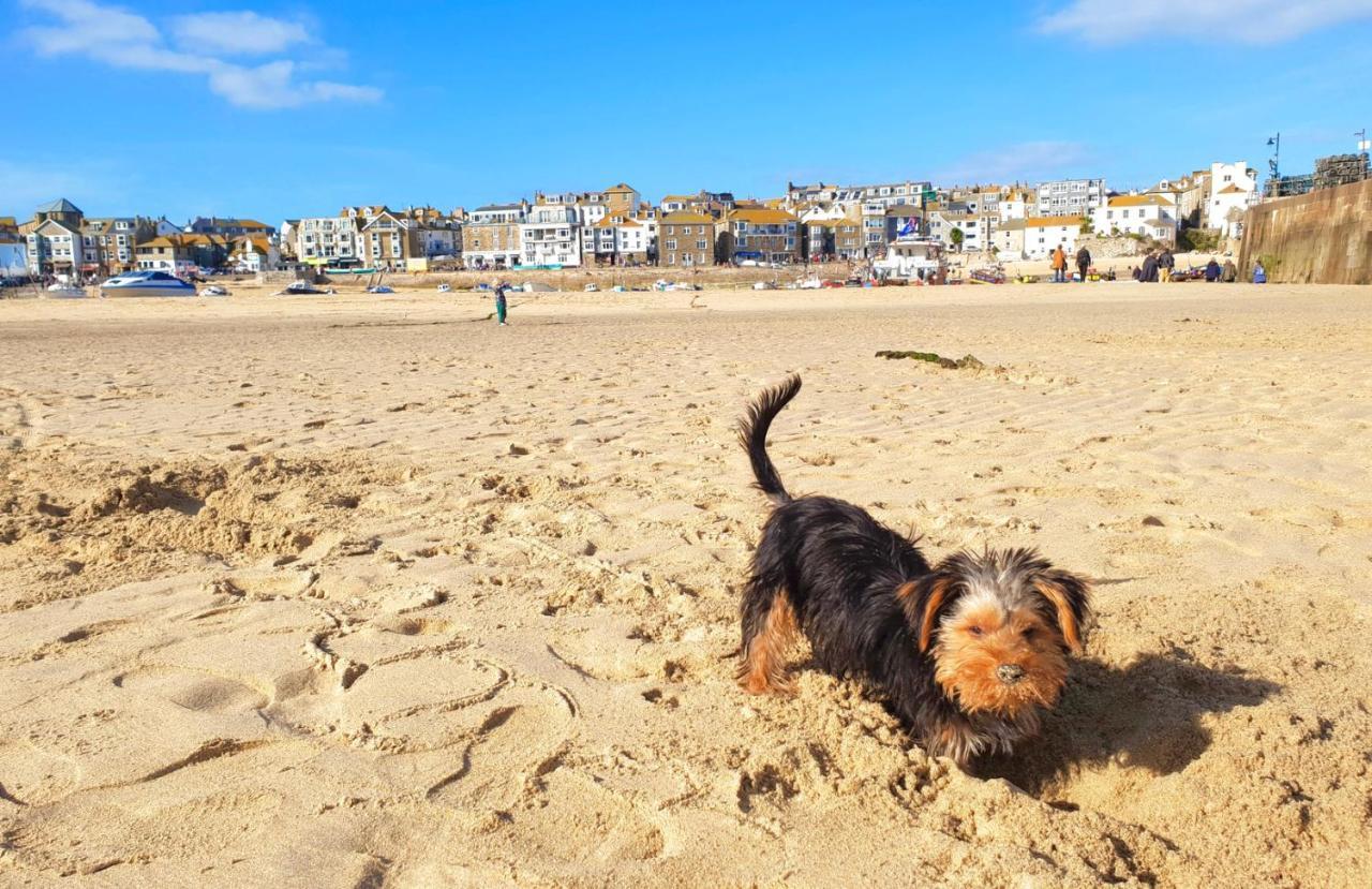Idyllic Cornish Cottage, Superking Bed, Private Garden Dogs Welcome Holiday home Truro
