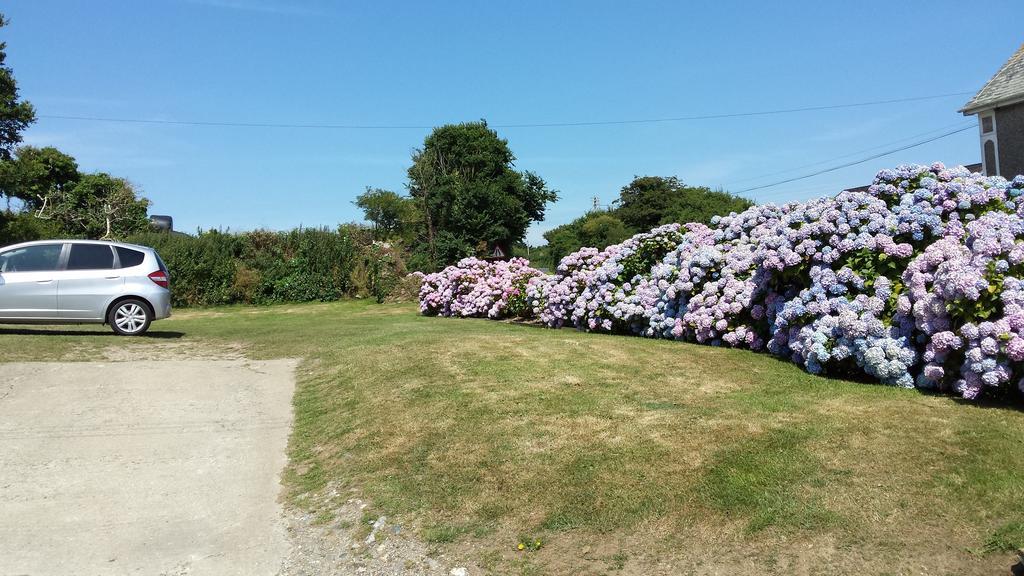 Trewithian Farm Bed & Breakfast Truro