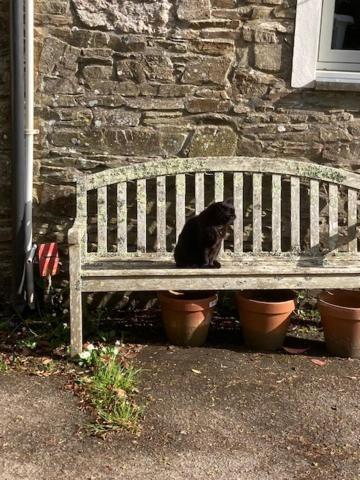 Tresithick Vean Bed & Breakfast Truro