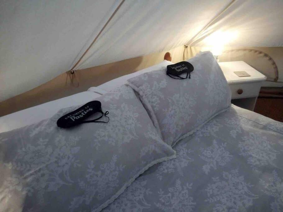 Luxury tent Cox Hill Glamping Badger