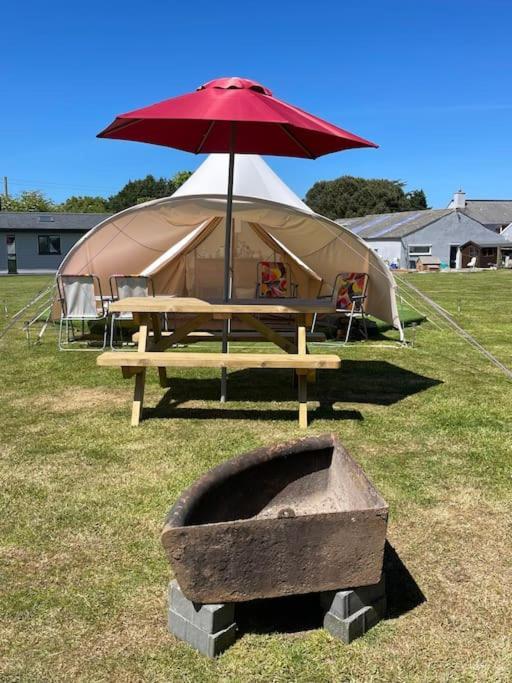 Cox Hill Glamping Badger