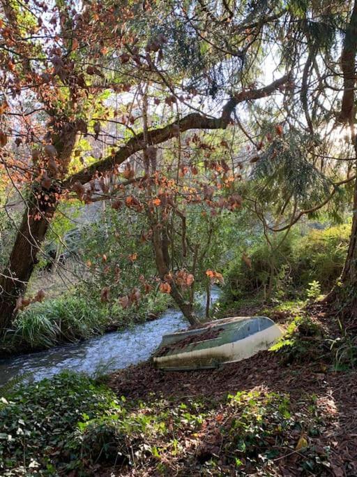 Villa Tresillian Waterfront, Forest, Hot Tub,sauna Truro