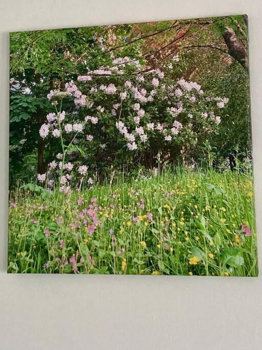 Garden Retreat * Truro