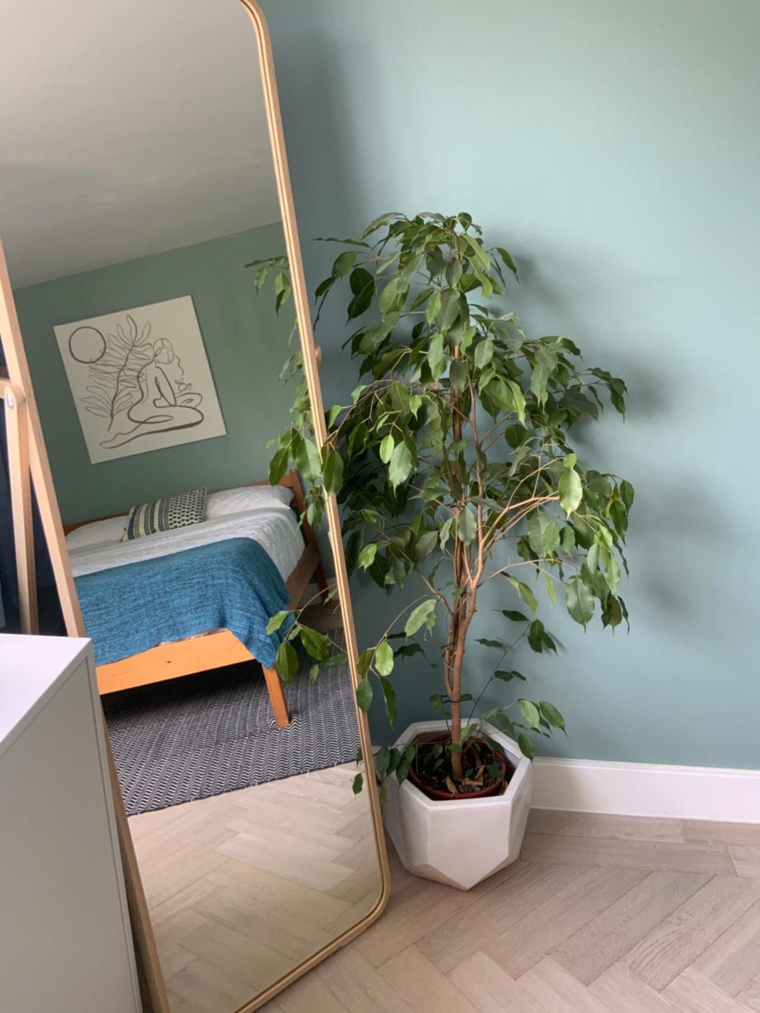 Little Chi Holiday home