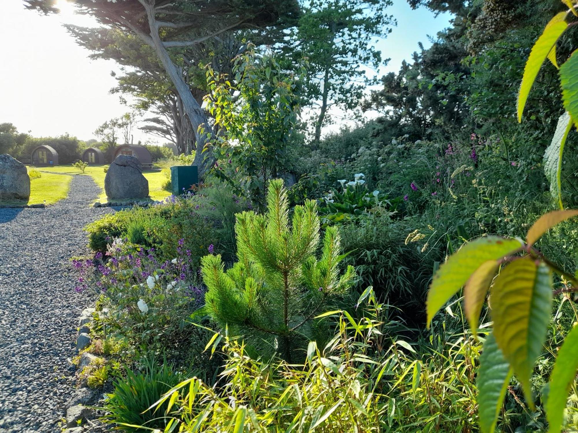 Campsite Cedarwood Holidays