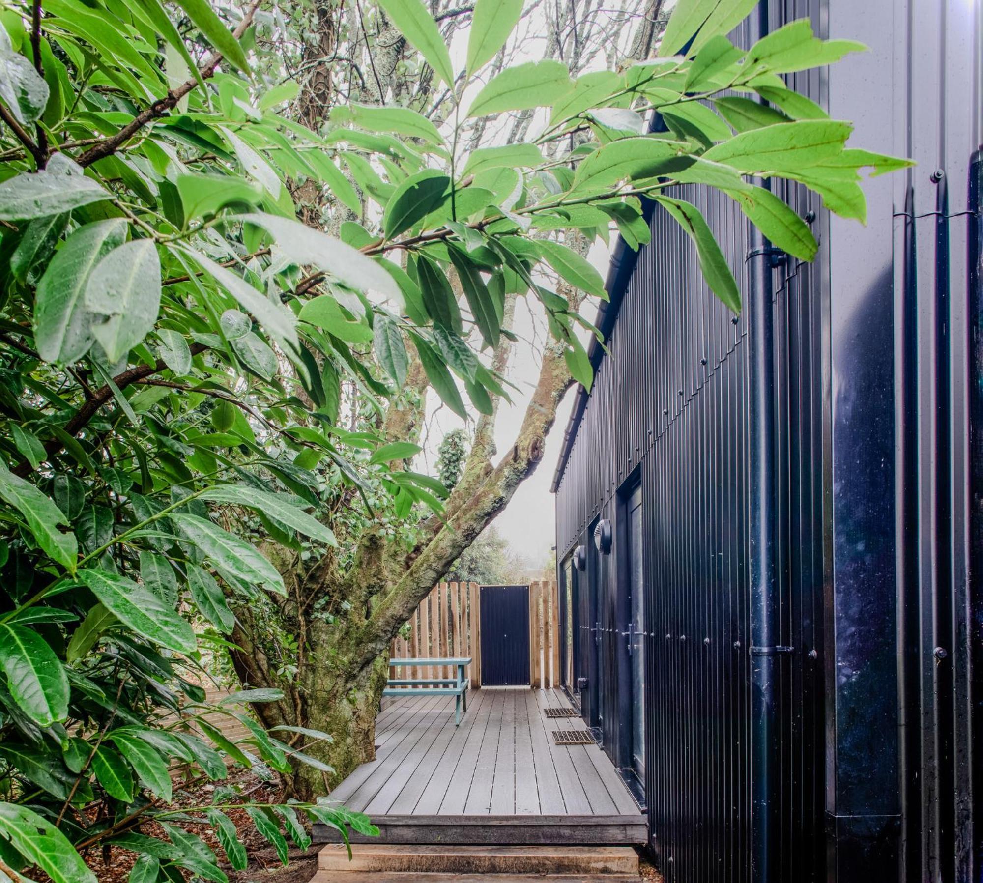 Lowen Tree House