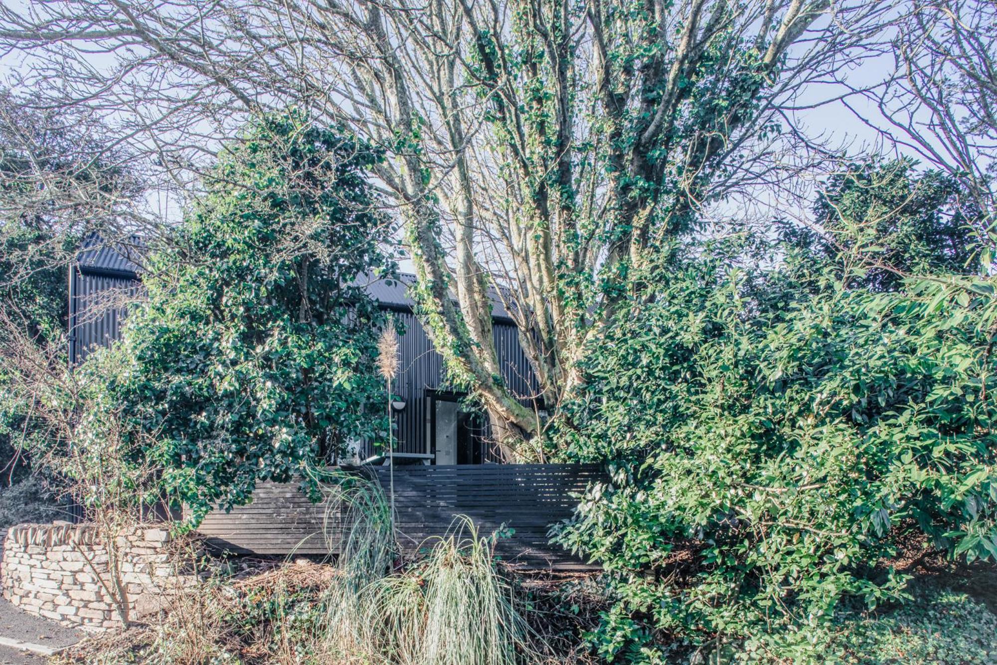 Lowen Tree House Holiday home Truro