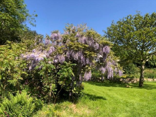 Holiday home Polgwedhen Truro