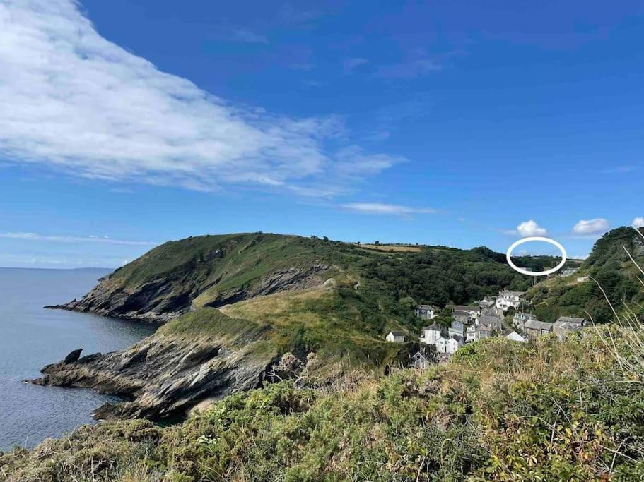 The At Camels: Idyllic On The Roseland *