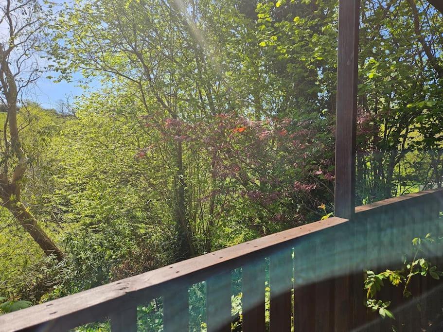 Treetops Lodge, Private Parking & Garden