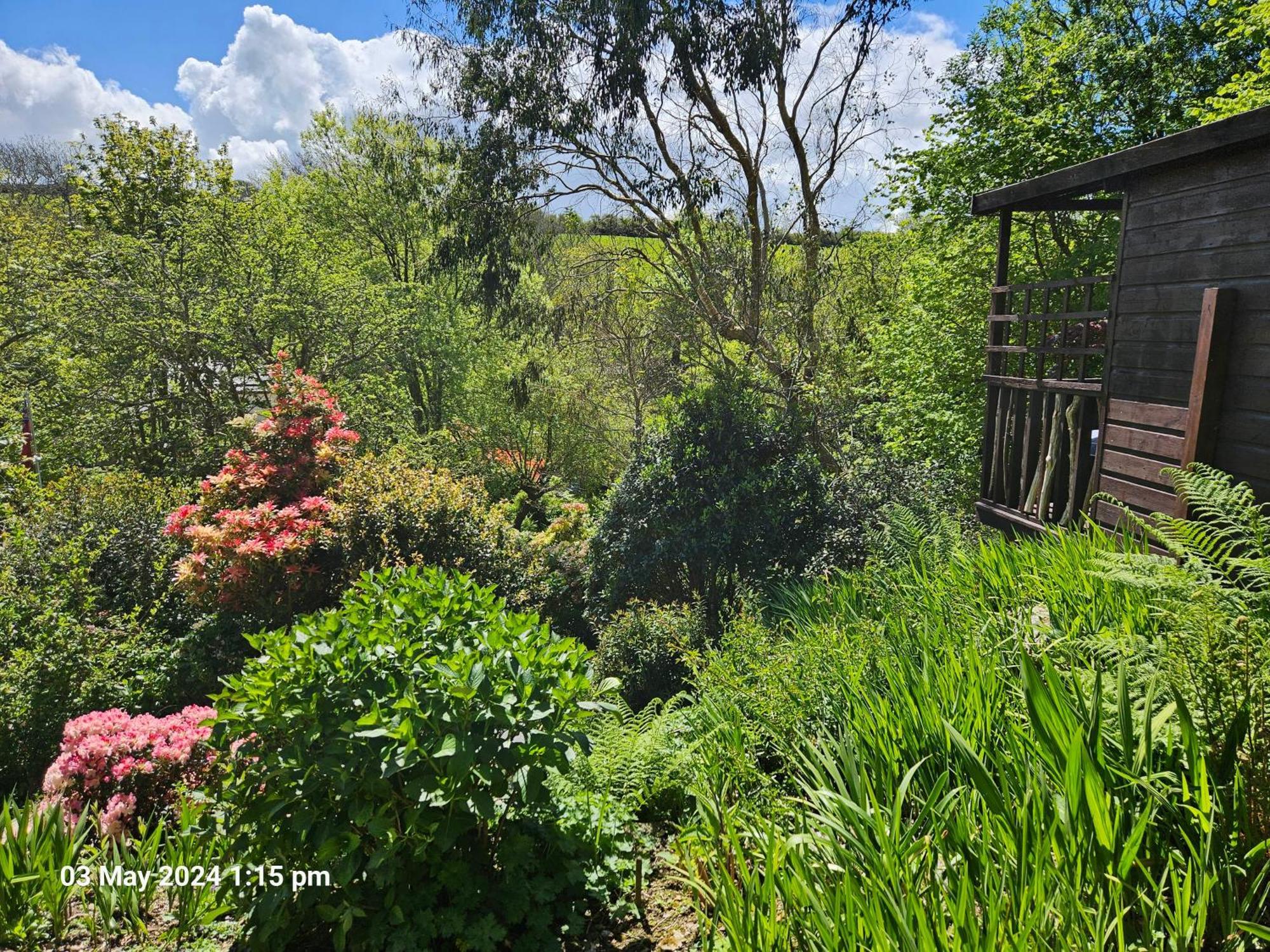 Holiday home Treetops Lodge, Private Parking & Garden