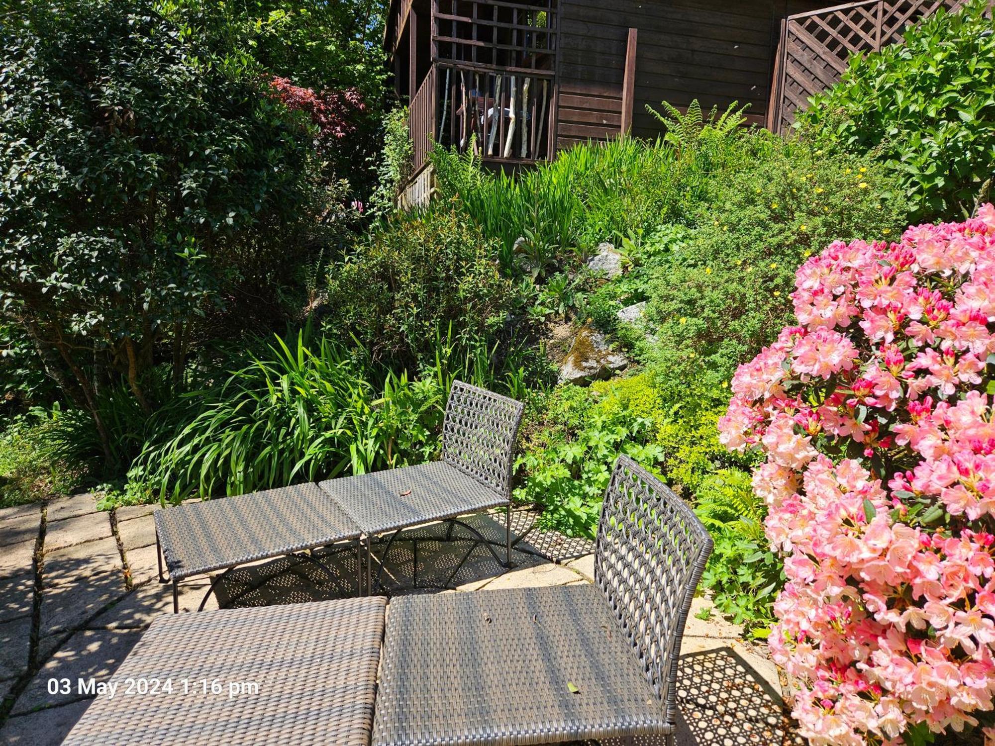 Holiday home Treetops Lodge, Private Parking & Garden