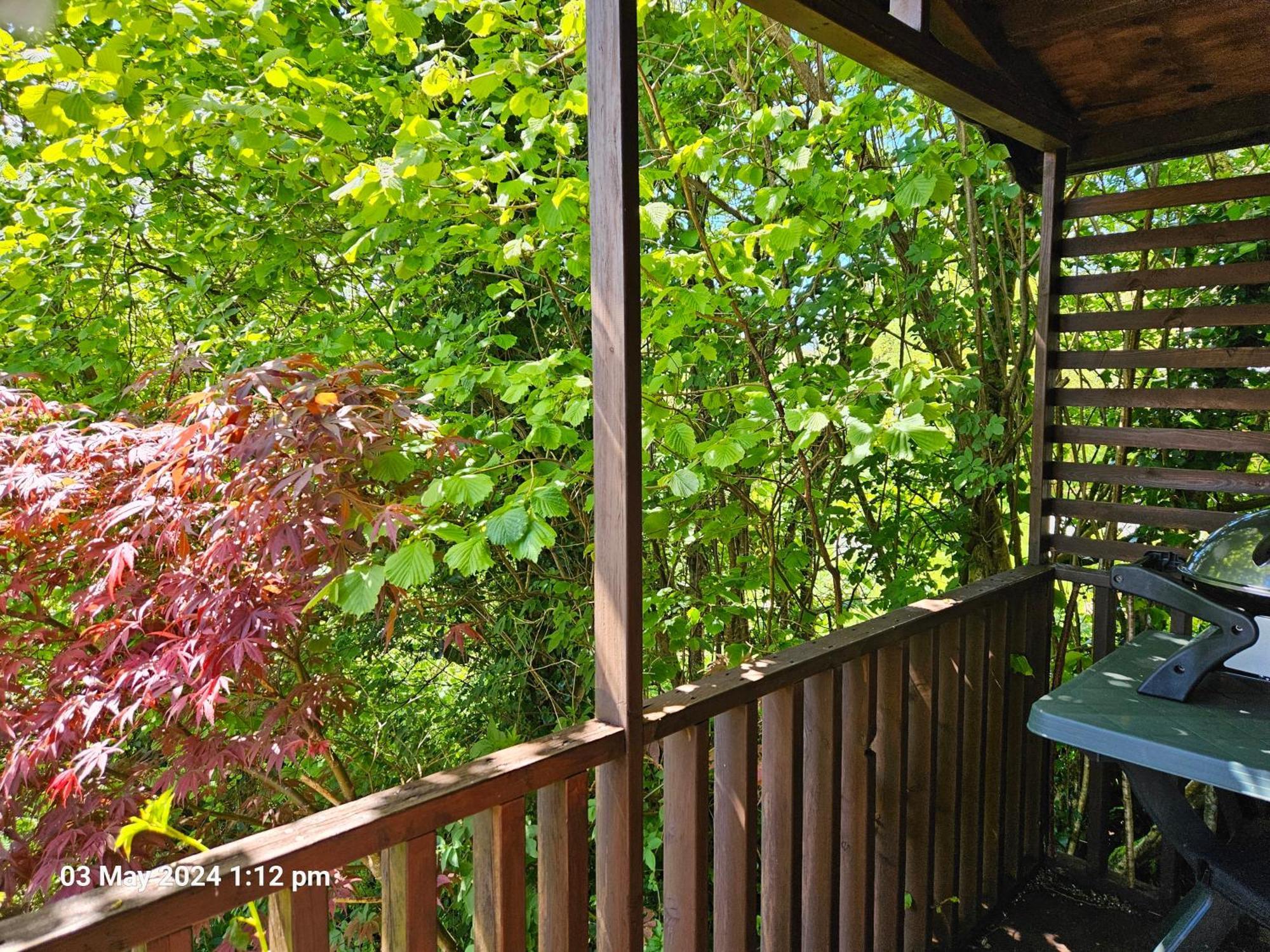 Treetops Lodge, Private Parking & Garden Holiday home