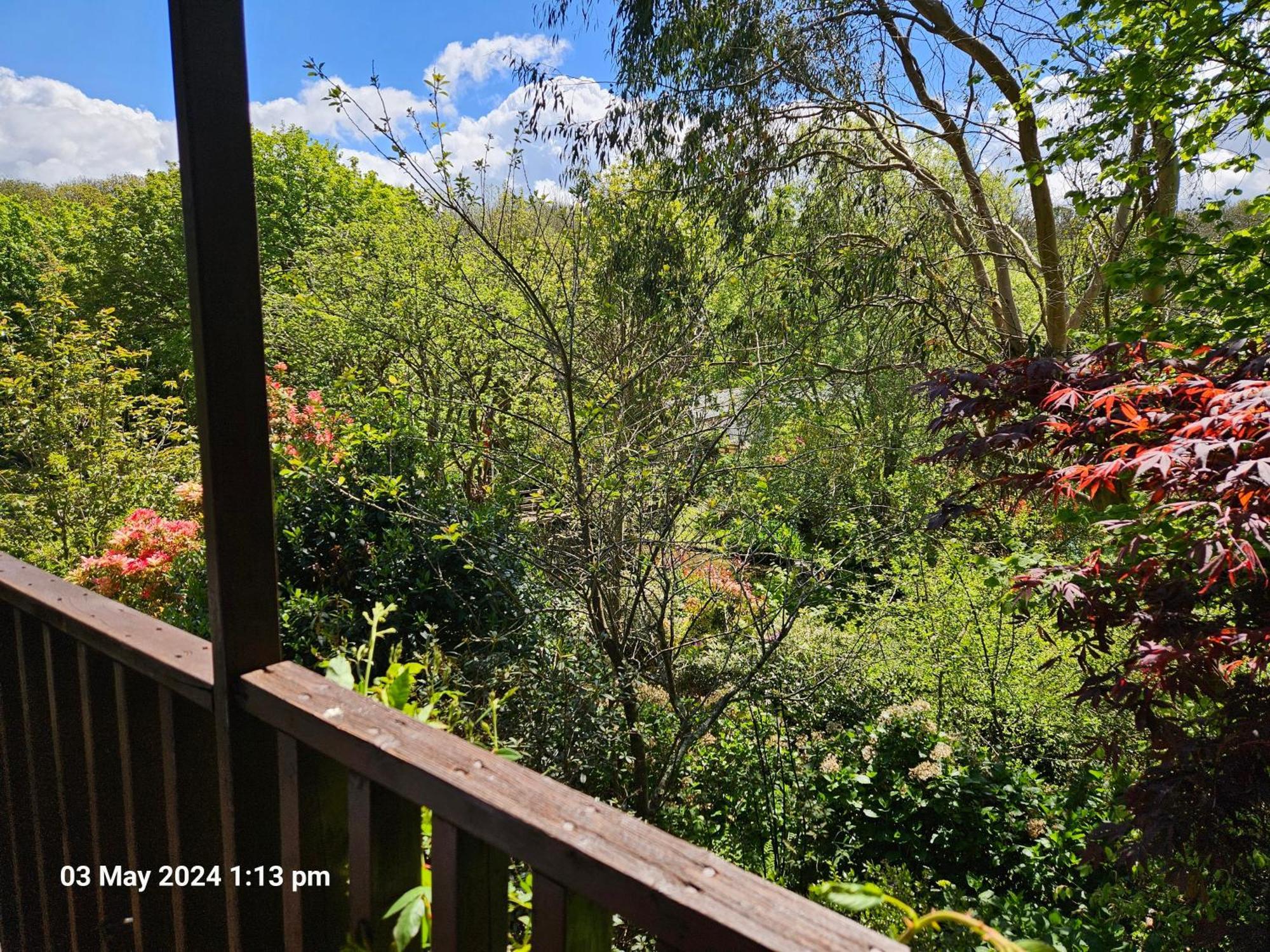 Treetops Lodge, Private Parking & Garden Holiday home Truro