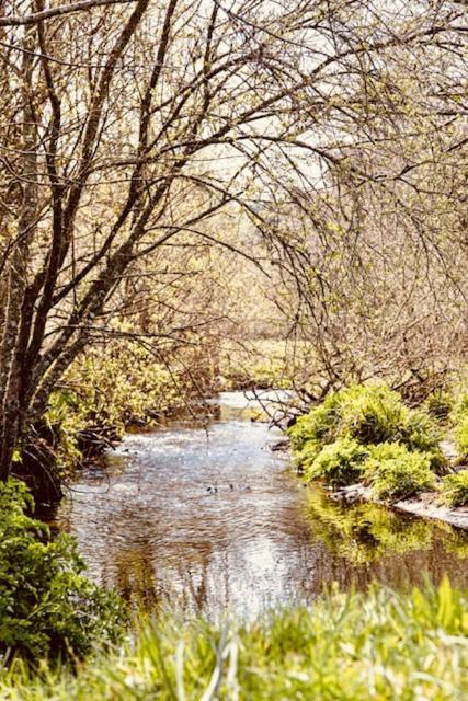 Blankednick Boltholes - 3 Beautiful Family Or Couples Cornish Getaways
