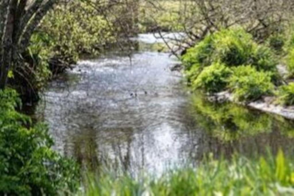 Couples Escape - Summerhouse With Hot Tub And Stunning Views *