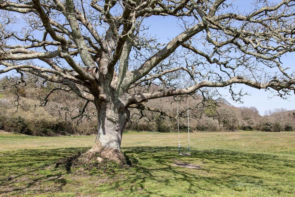 Beautifully Family Or Couples With Fabulous Views Holiday home *
