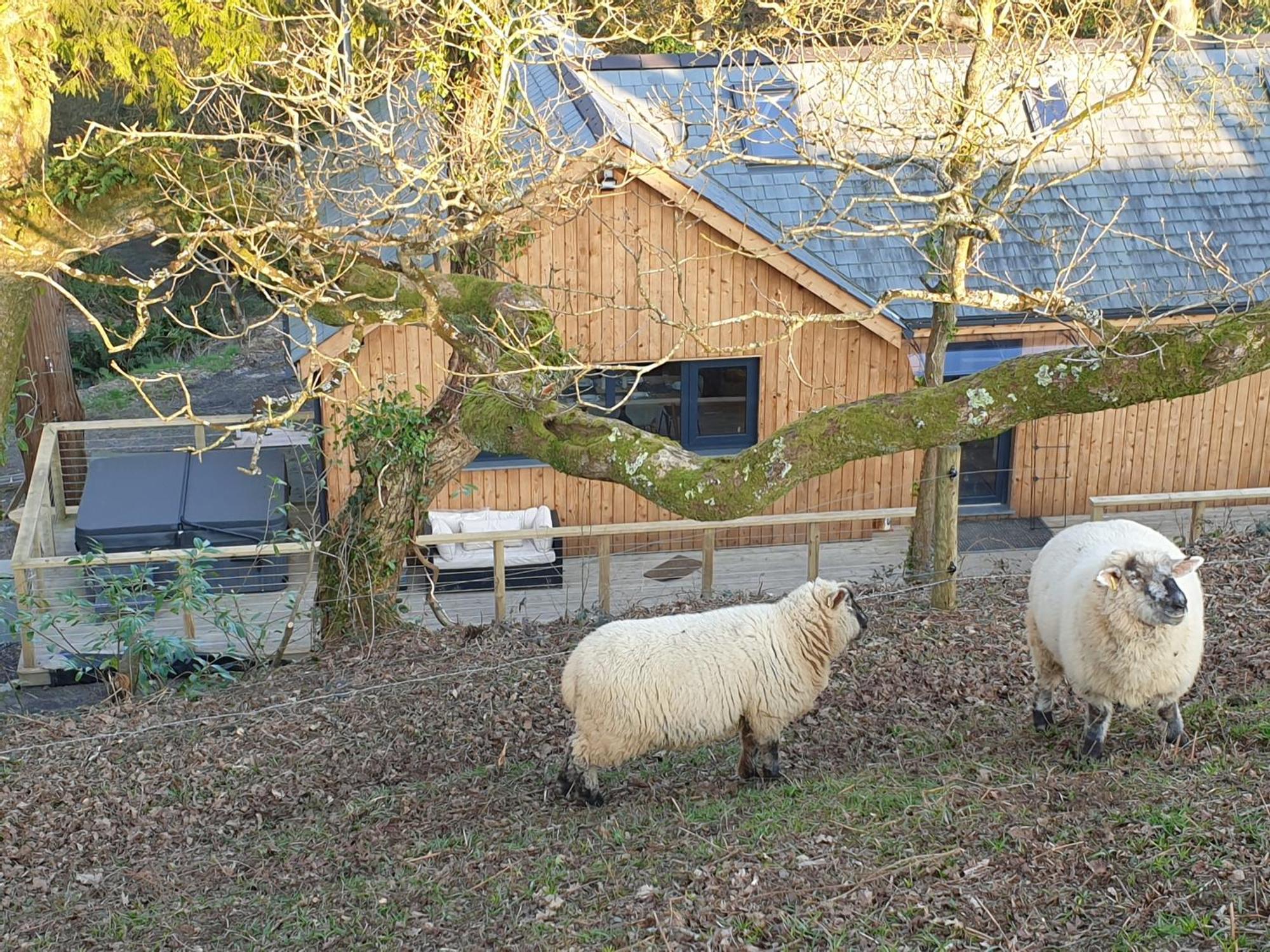 Tresillian Waterfront, Forest, Hot Tub,sauna * Truro