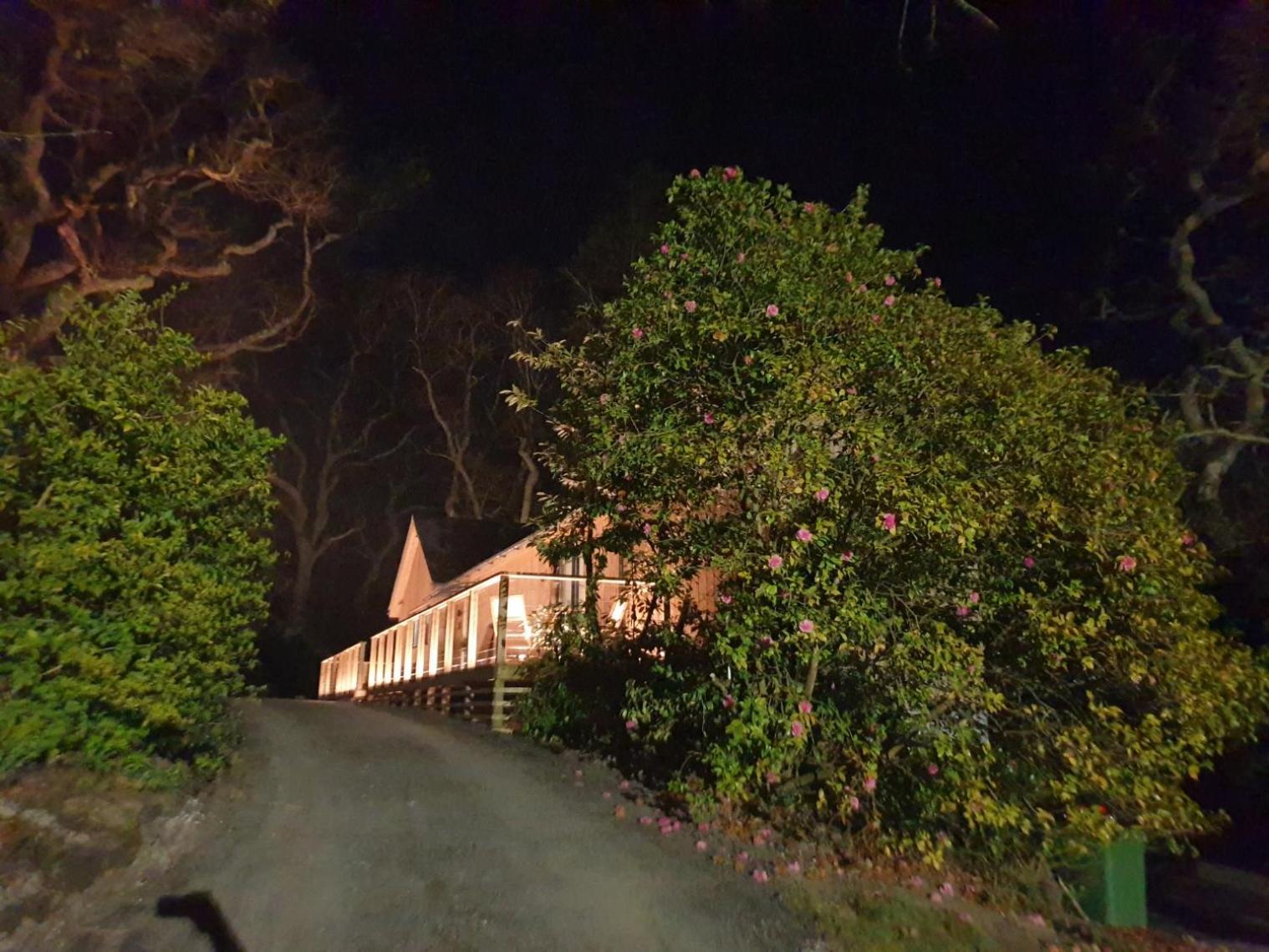 Tresillian Waterfront, Forest, Hot Tub,sauna * Truro
