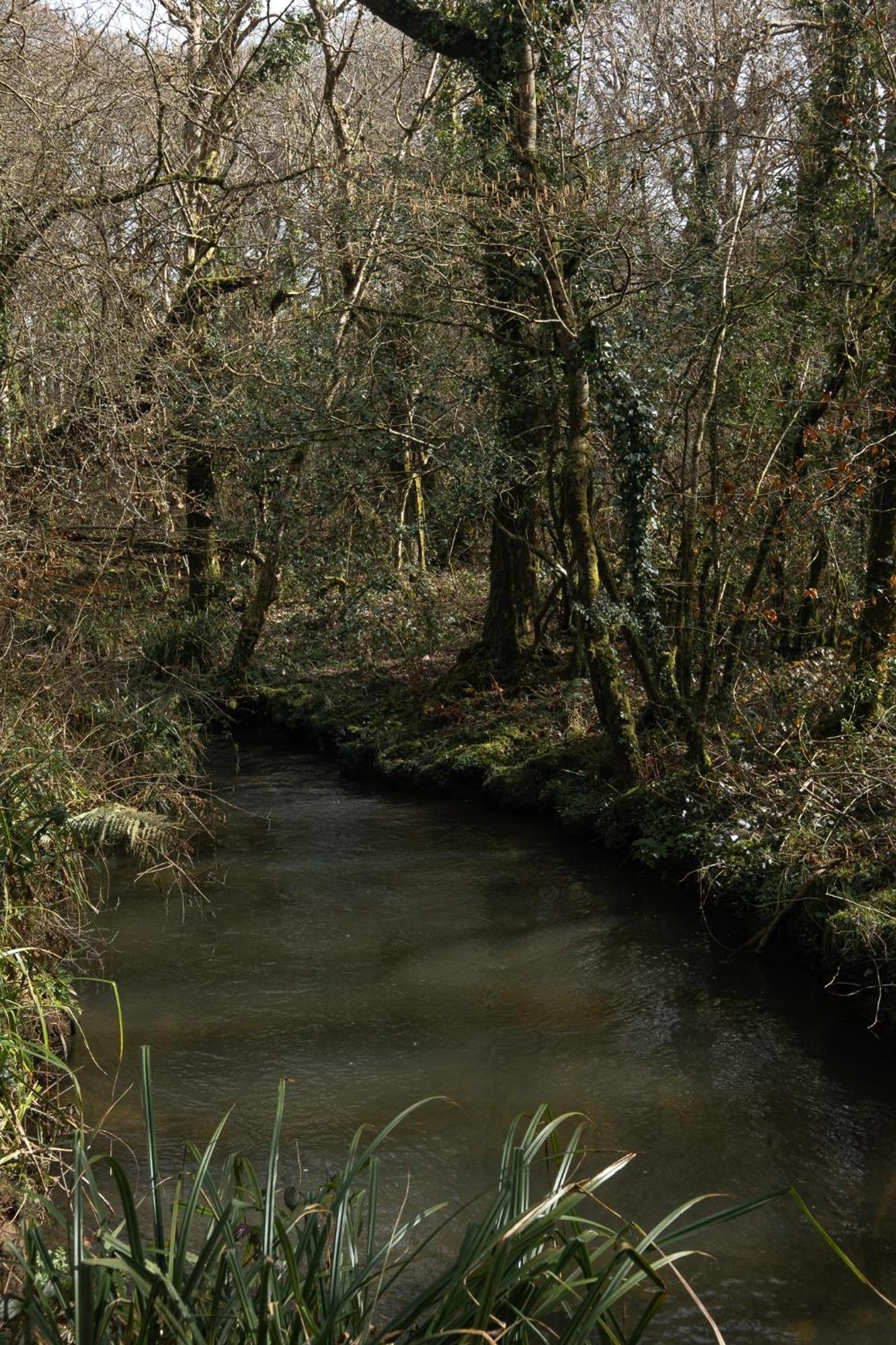 Tresillian Waterfront, Forest, Hot Tub,sauna Villa Truro