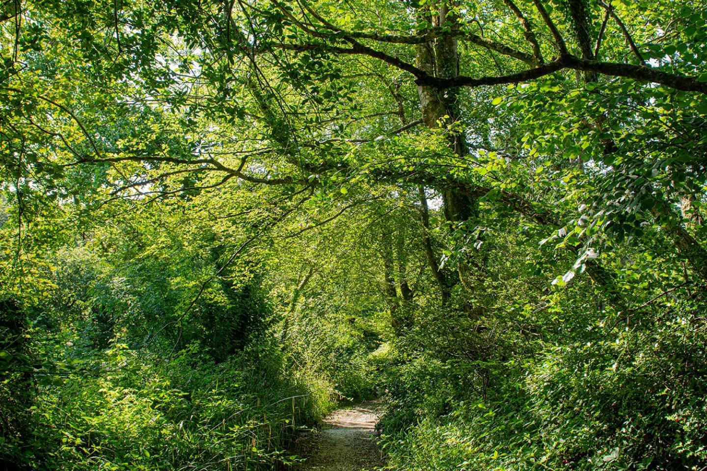 Holiday home Cusgarne Manor Self-catering - Adults Only Truro