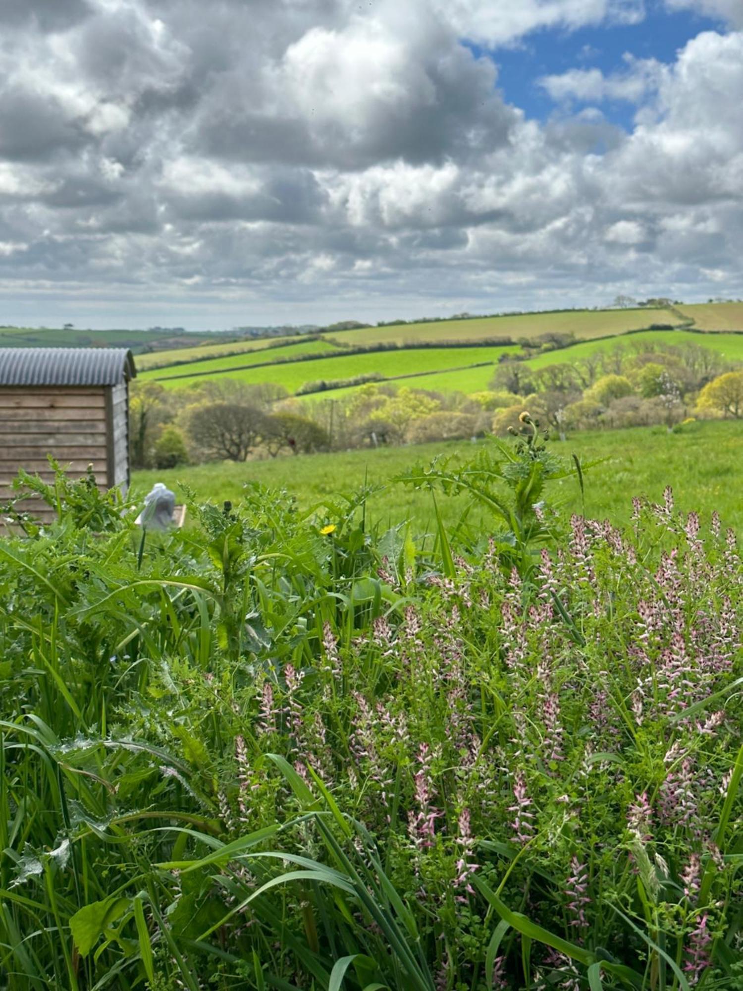 Private And Peaceful In A Luxury Shepherds Hut Near Farm stay Truro