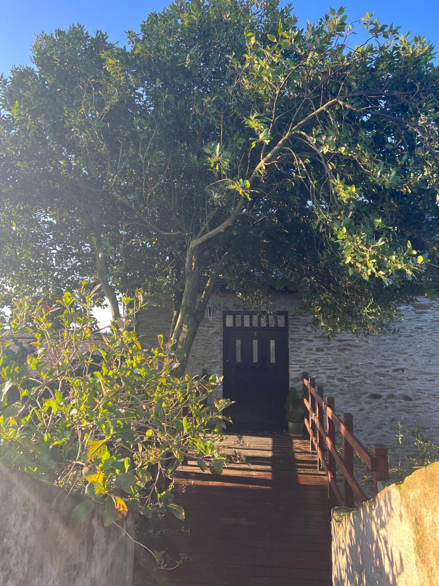 Bay Tree Barn Apartment