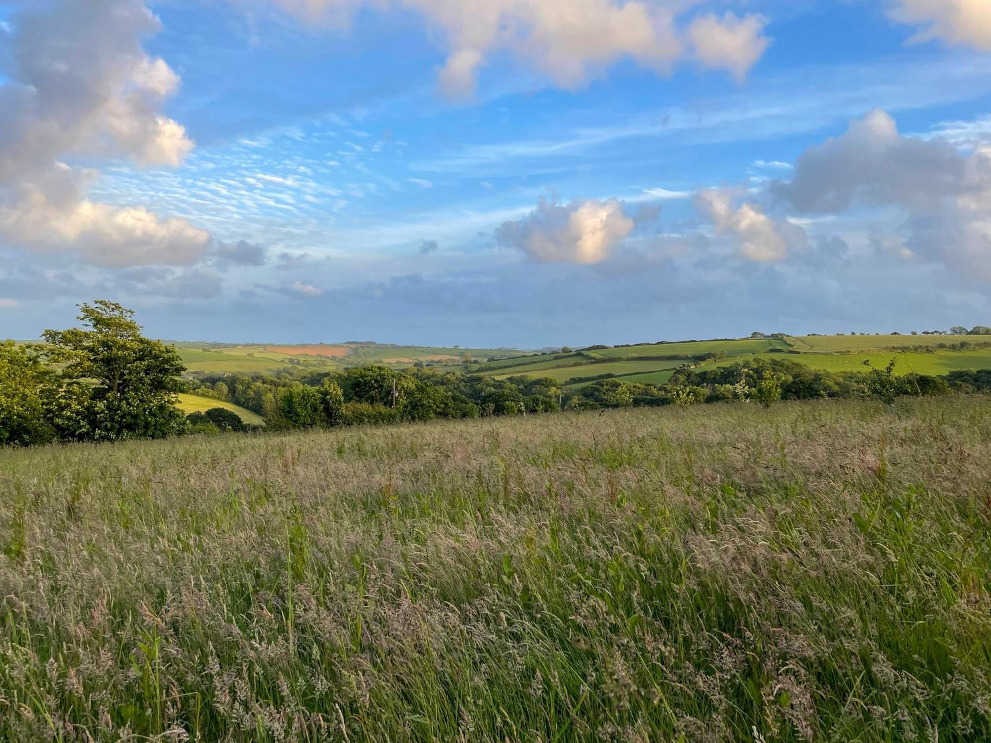 Farm stay Private And Peaceful In A Luxury Shepherds Hut Near *