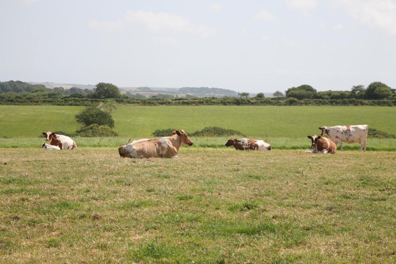 Gadles Farm Cottages Truro