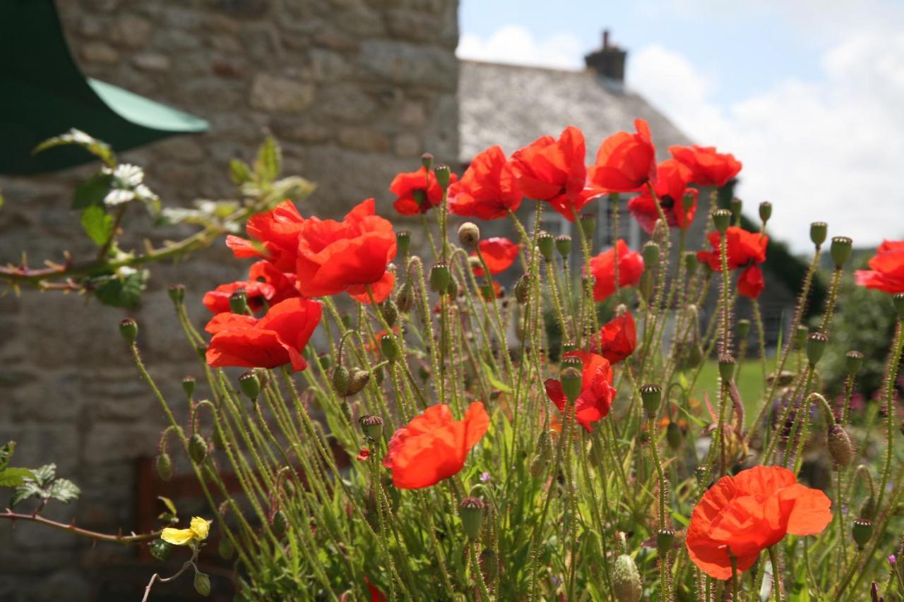 Holiday home Gadles Farm Cottages